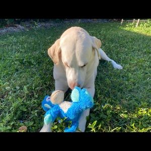 Meet your Posher, Ella